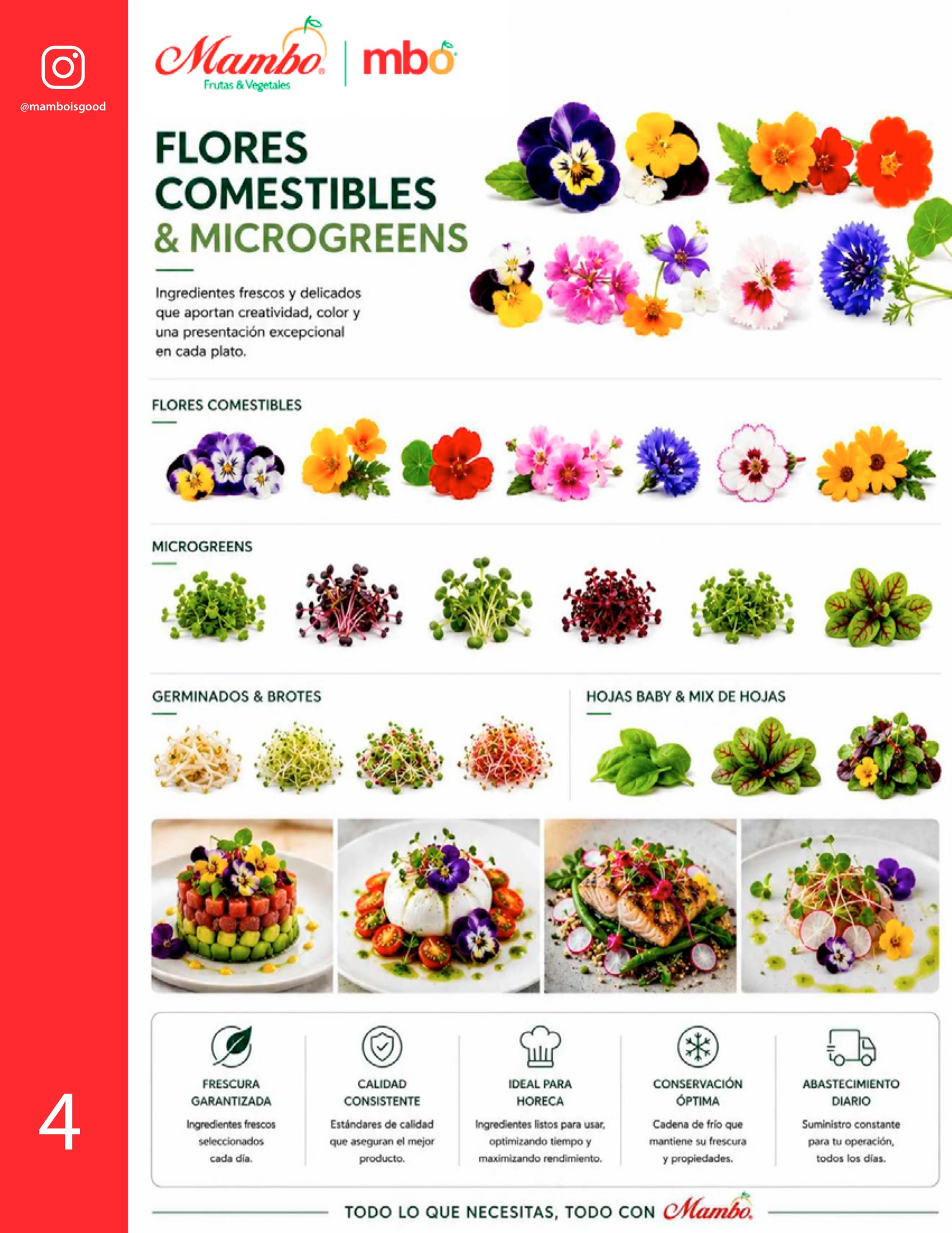 Flores comestibles y microgreens Mambo